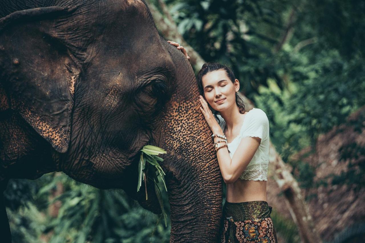 The Chai Lai Orchid Otel Chiang Mai Dış mekan fotoğraf