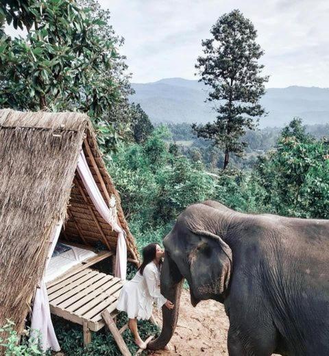The Chai Lai Orchid Otel Chiang Mai Dış mekan fotoğraf