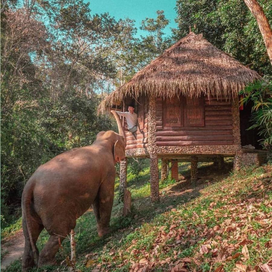 The Chai Lai Orchid Otel Chiang Mai Dış mekan fotoğraf