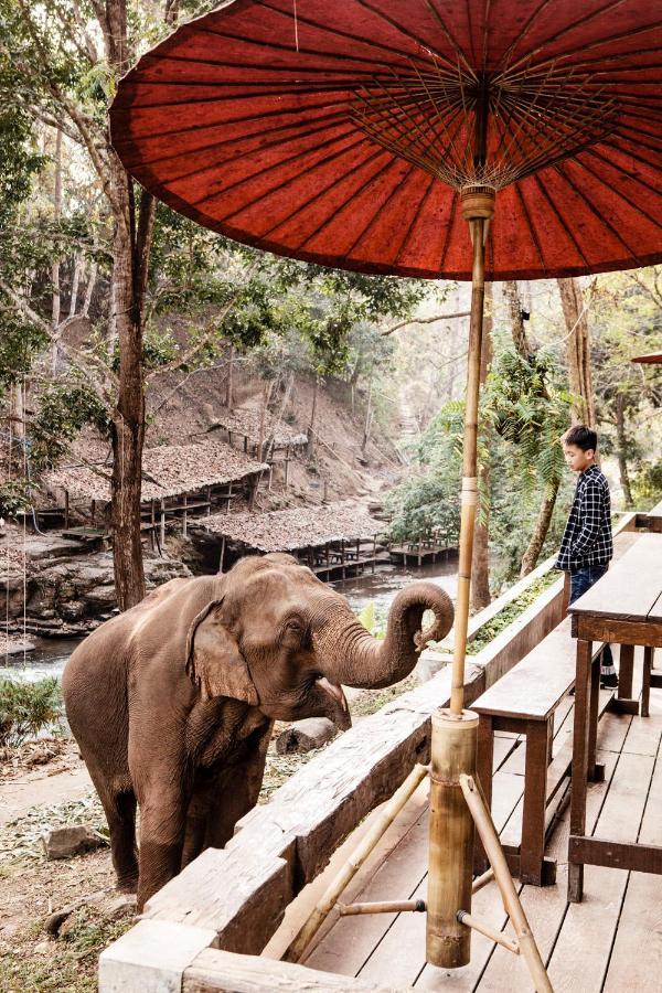 The Chai Lai Orchid Otel Chiang Mai Dış mekan fotoğraf